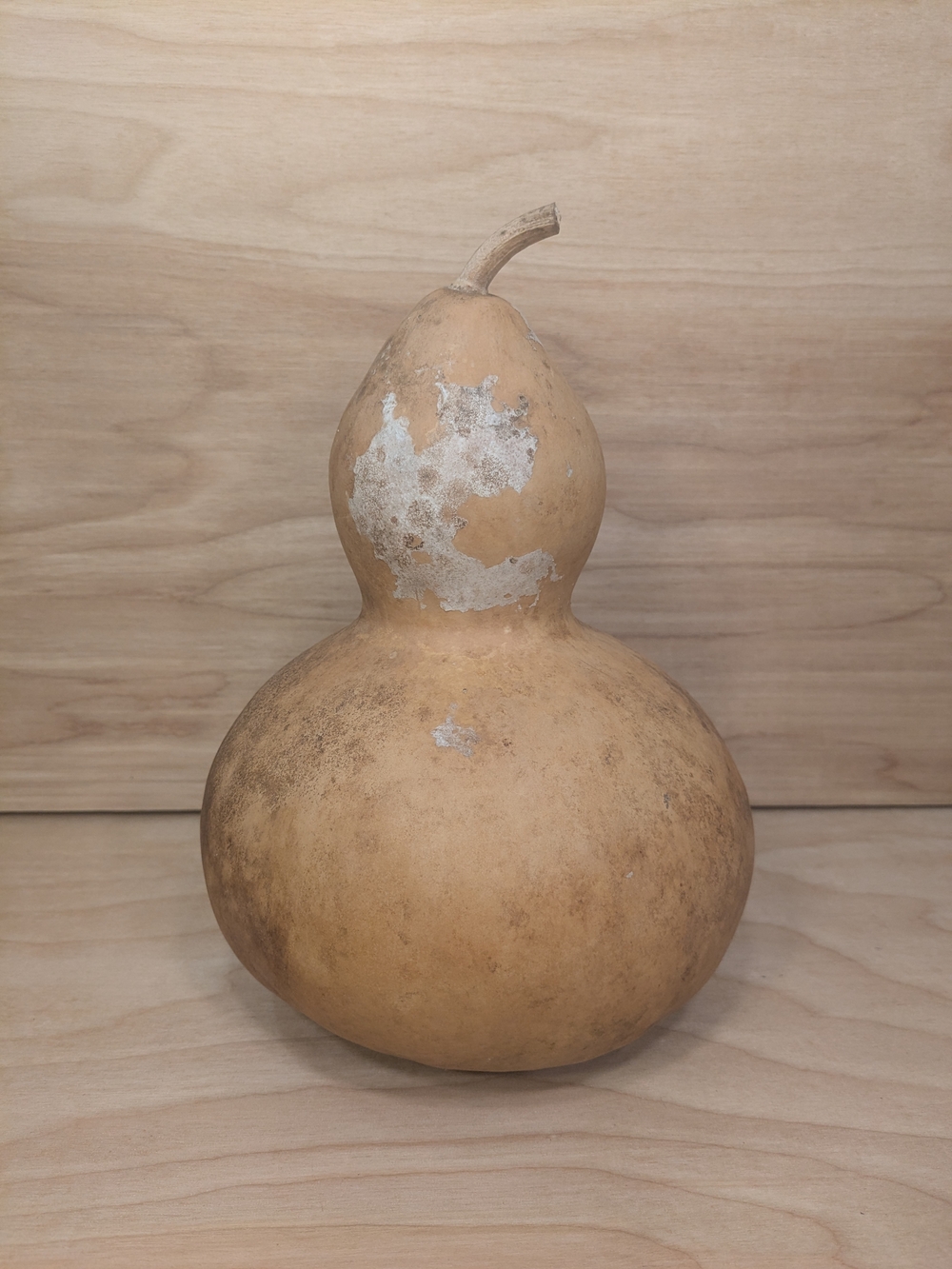 Natural Dried Birdhouse Gourd